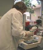 Lab staff using Probtec